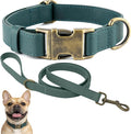 Dog Collar and Leash Set,Leather Silicone Waterproof Odor-Proof Dog Collar and Leash for Small Dogs, Soft Flexible Dog Collars, Durable Thick Adjustable Pet Collar (Green, Small (9-14" Neck))