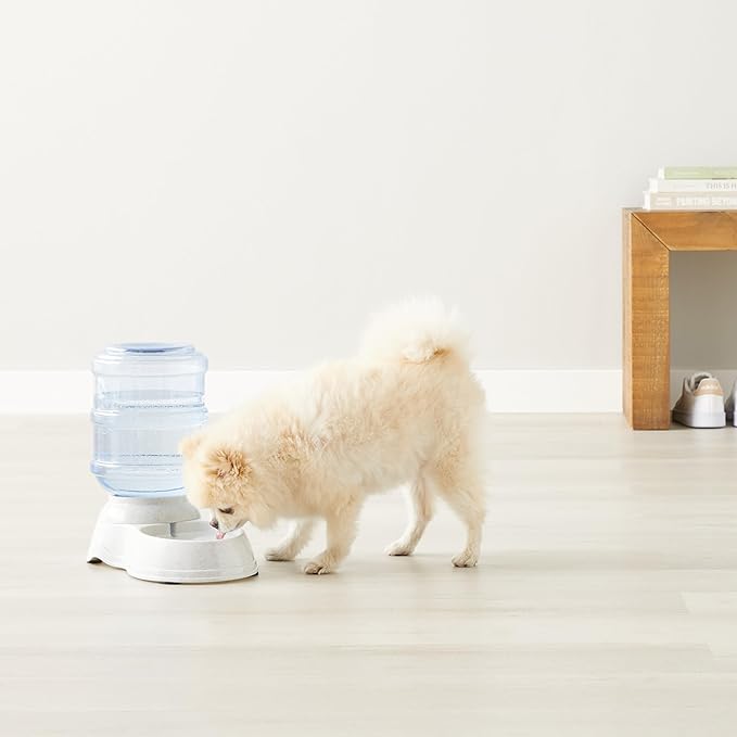 Amazon Basics Gravity Pet Water Dispenser for Cat,Dog,1 Gallon Capacity,Small,Gray,(Pack of 4)