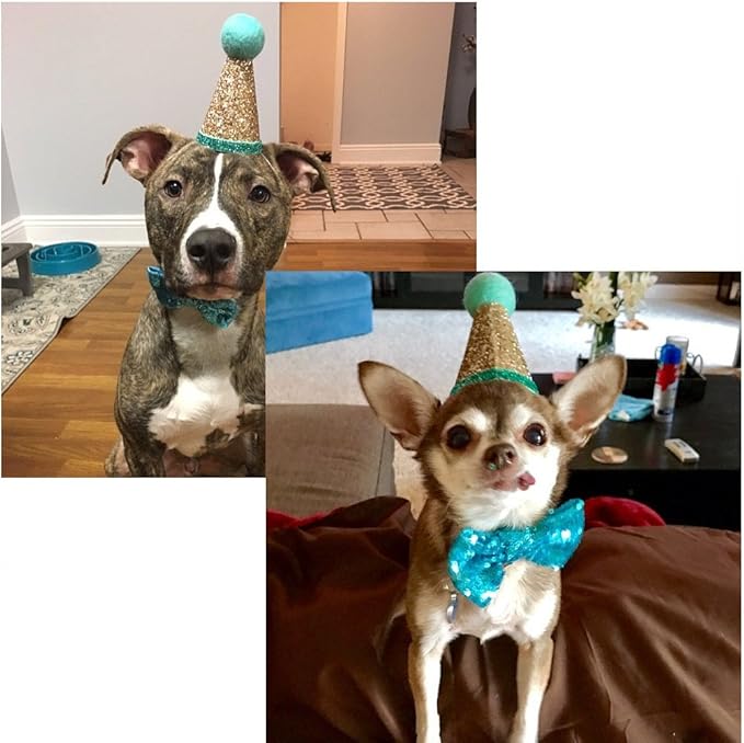 CheeseandU Pet Cute Birthday Party Cone Hat and Bow tie Collar Set with Adjustable Headband and Pom-poms Topper for Small Medium Dogs Cats Pets Valentines Day Hat Collar Costume, Blue