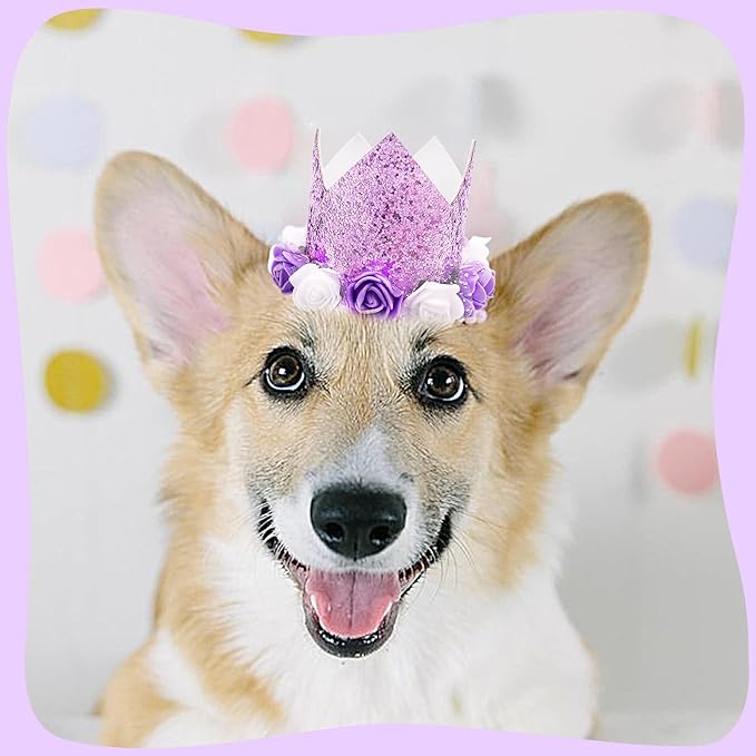 PET SHOW Purple Crown Dog Birthday Party Hat for Girls Reusable Party Supplies Cat Kitten Headband with 0-9 Figures Charms Costume Accessories with Glue