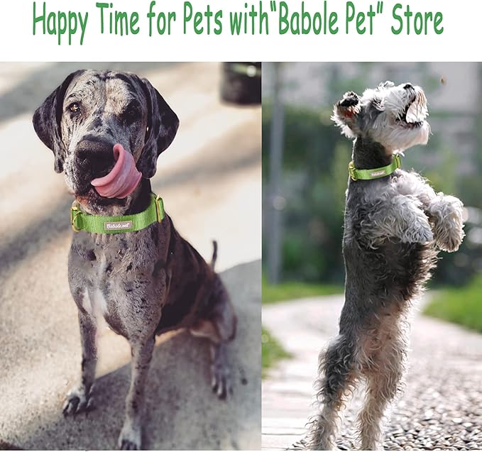 Nylon Dog Collar - Adjustable Green Soft Webbing Dog Collars for Small Medium Large Dogs Boy Girl Puppy Collar with Safety Metal Buckle S