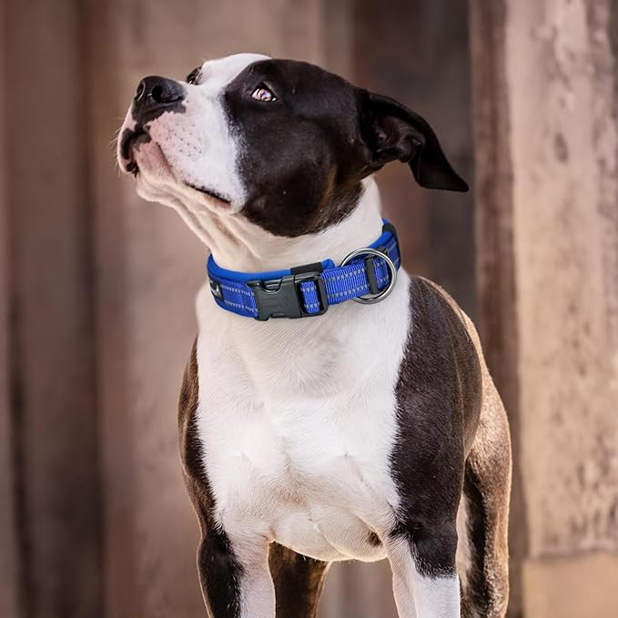 EXCELLENT ELITE SPANKER Reflective Dog Collar Classic Soft Padded Breathable Nylon Adjustable Pet Collar with Quick Release Buckle for Boy Girl Male Female Small Medium Large Dogs Training(Black-S)