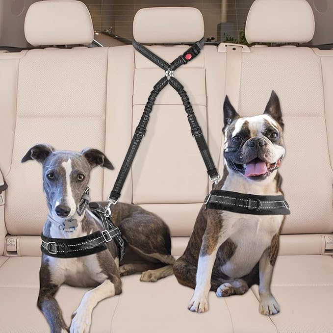 Dog Seat Belt for Car, Dual Pet Vehicle Headrest Restraint Safety Seatbelt,Two Dog Leash No Tangle Dog Car Leash Seat Belt,Duty Adjust Elastic Connect Harness in Vehicle Travel (Blue)