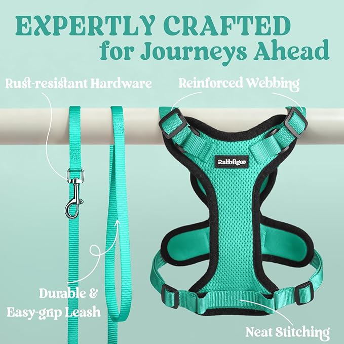 rabbitgoo Cat Harness and Leash for Walking, Escape Proof Soft Adjustable Vest Harnesses for Cats, Easy Control Breathable Reflective Strips Jacket, Emerald, S