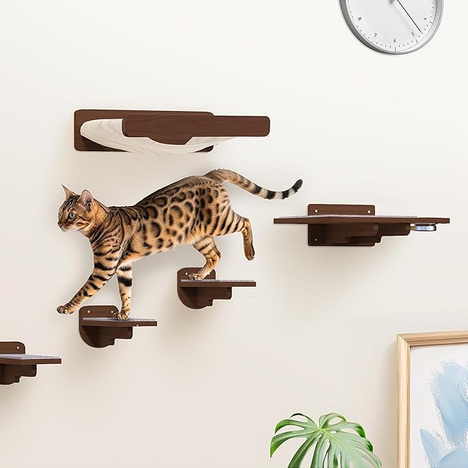 Space-Saving Cat Wall Shelves – Interactive Cat Wall Climber with Hammock & Dog Proof Feeding Station for Small & Medium Indoor Breeds – Solid Walnut Wood with Beige Carpet