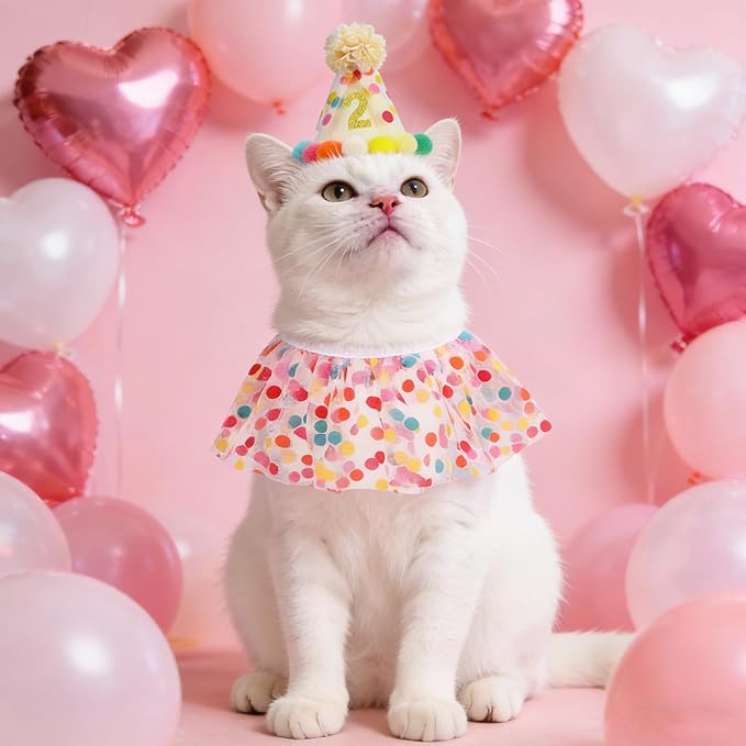 SCENEREAL Cat Birthday Hat & Scarf Costume Set, Pet Birthday Party Supplies - Kitten Bandana Bib Holiday Outfit Decorations Accessories for Big Cats Puppy Small Dogs Pet Animals