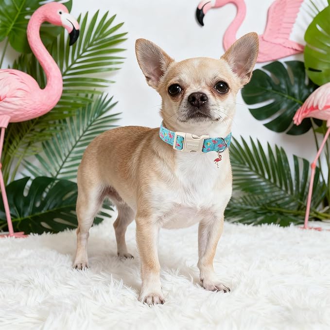 DOGWONG Spring Summer Dog Collar-Cute Flamingo Dog Collar, Adjustable Soft Beach Hawaiian Dogs Collars for Medium Dogs, M