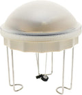 API® Solar Water Wiggler® | Solar Powered Bird Bath Water Circulator | Water Wiggler for Bird Bath