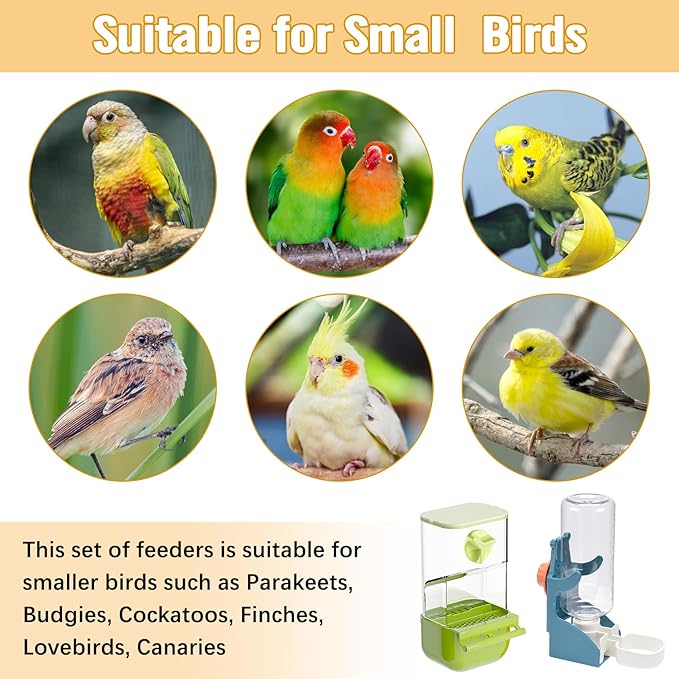 BNOSDM Automatic Bird Feeder Water Dispenser Set No Mess Bird Cage Feeders Parrot Cage Accessories Transparent Seed Food Container with Perch for Finches Parakeets Budgies Lovebirds Canaries (Green)