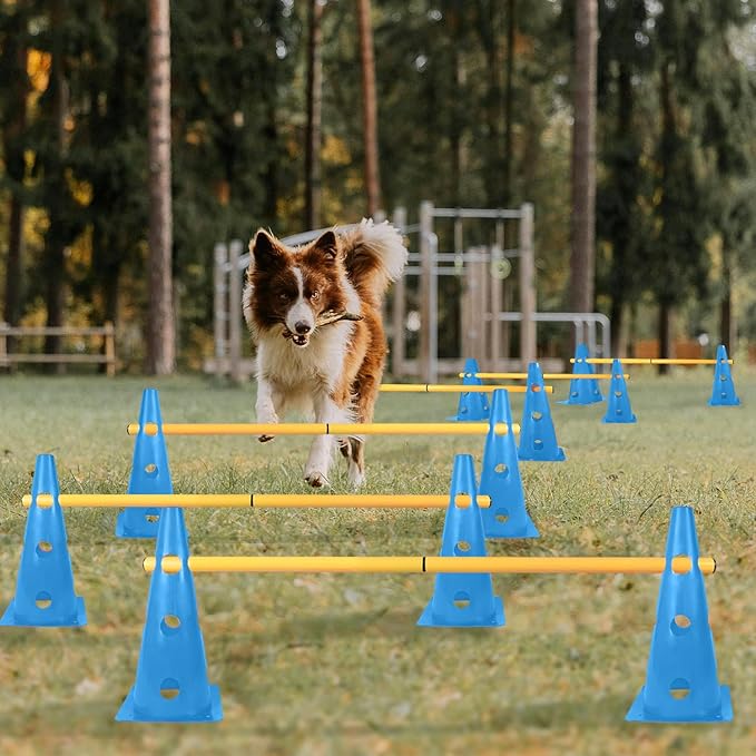 TNZMART Dog Agility Hurdle Cones Pet Jump Training Set Dog Agility Course Backyard Set Adjustable Obstacle Training Set (Blue, 6 Sets)