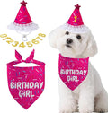 Dog Birthday Bandana Set, Rose Pink Birthday Girl Decorations, HBD Party Supplies with Hat Bandana Numbers for Pets (Pink)