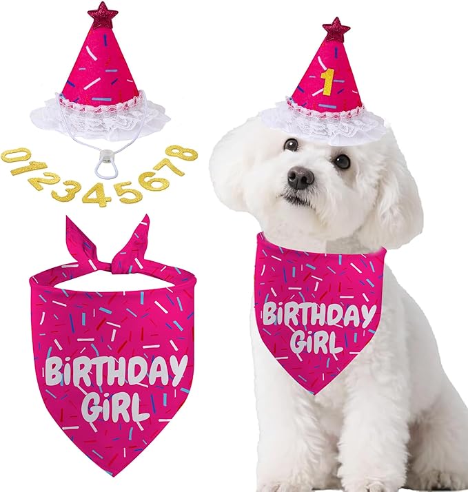 Dog Birthday Bandana Set, Rose Pink Birthday Girl Decorations, HBD Party Supplies with Hat Bandana Numbers for Pets (Pink)