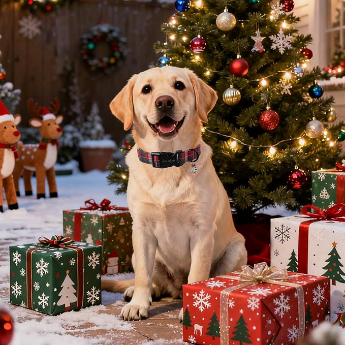 Christmas Dog Collar, Unique Style Paws Red Green Grids Dog Collar for Christmas Comfortable Red Pet Collar with Lightweight Plastic Buckle for Holiday, Fancy Dog Gift