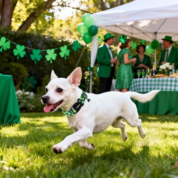 DOGWONG St Patrick's Day Dog Collar-Cute Green Clovers Dog Collars, Adjustable Shamrock Pet Collars Trefoil Puppy Collars with Quick Release Buckle for Girl&Boy Dogs,S