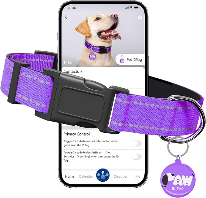 Reflective Dog Collar for Medium Dogs with Dog Tags Personalized & Quick Release Buckle, Adjustable and Comfortable Nylon Pet Collar, Purple