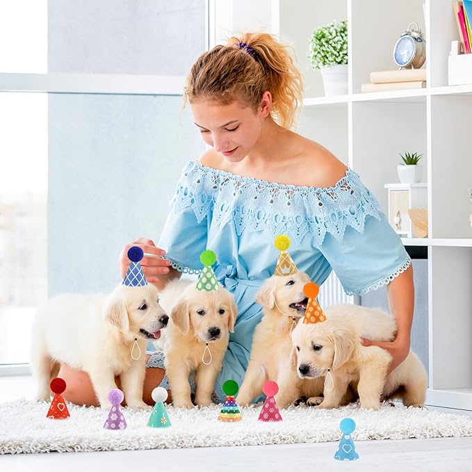 Hxezoc 10 Pcs Mini Birthday Party Hats Colorful Cone Felt Hats for Animals Stuffed Pets Birthday Holiday Accessories Decoration Supplies