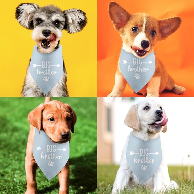 Big Brother Baby Announcement Dog Bandana - Tisubileiry Blue Gender Reveal Prop Scarf Accessory for Dog Lovers
