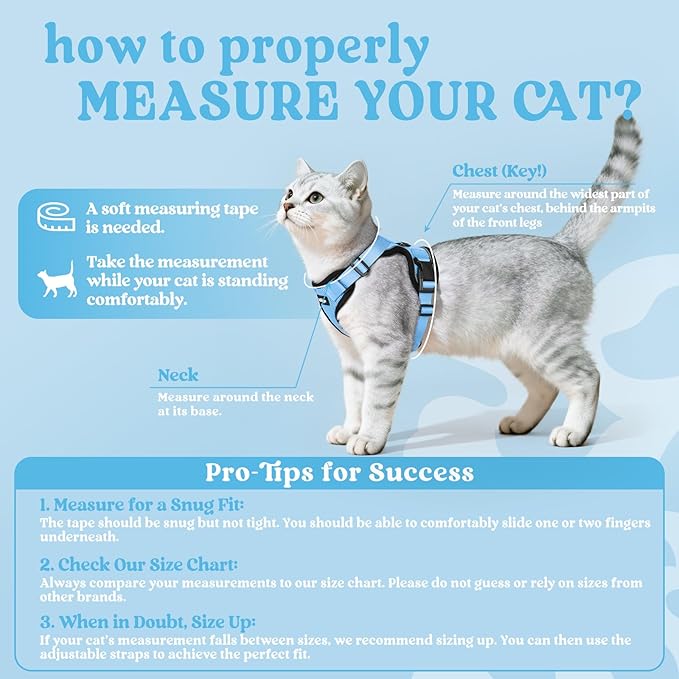 rabbitgoo Cat Harness and Leash for Walking, Escape Proof Soft Adjustable Vest Harnesses for Cats, Easy Control Breathable Reflective Strips Jacket, Light Blue,M
