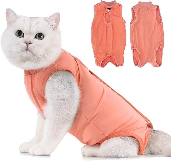Avont Cat Recovery Suit - Kitten Onesie for Cats After Surgery, Cone of Shame Alternative Surgical Spay Suit for Female Cat, Post-Surgery or Skin Diseases Protection -Coral(M)