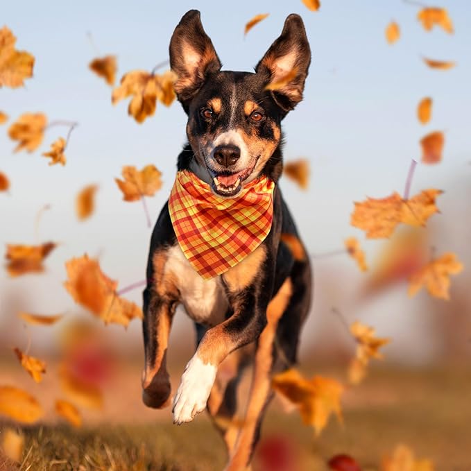 Abbylike 50 Pcs Orange Plaid Dog Bandanas Bulk Check Pattern Bandanas for Dogs Triangle Kerchief Bib Scarf Set for Pet Party Costume Photo Props Accessories Pet Shops, 25 Styles(31.5 x 21.7 x 21.7)