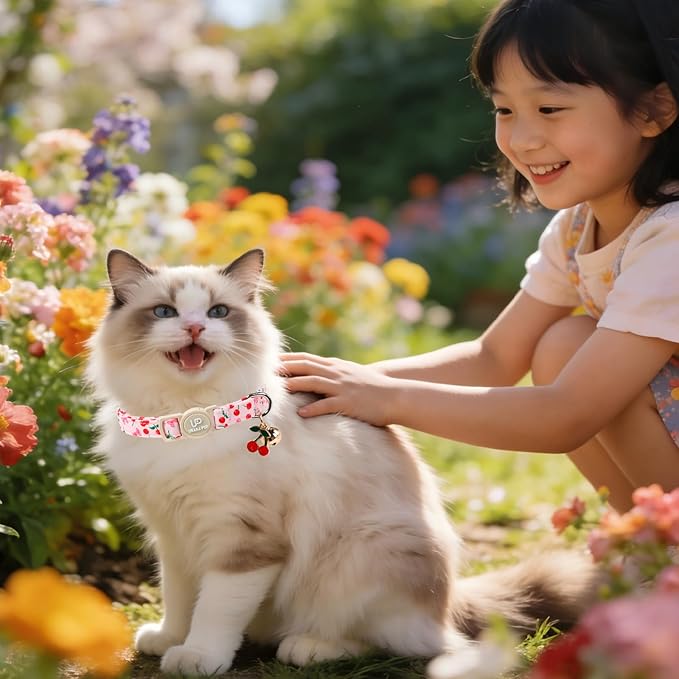 Cat Collar, Pack of 2 Summer Kitten Collars-Cute Lime and Strawberry Pendants-Breakaway Kitty Collars,Cat Collar with Bell, for Girl & Boy Cats