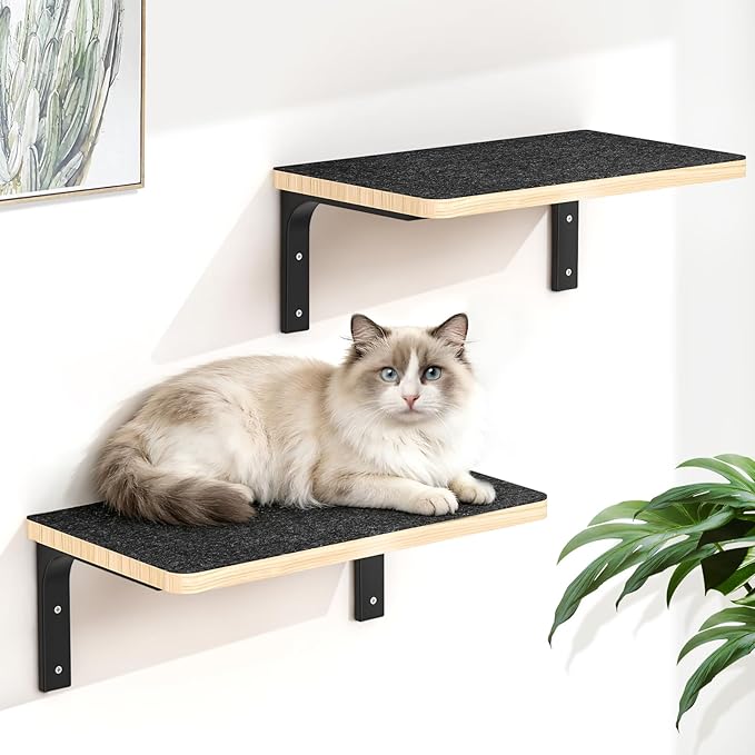 2PCS Cat Wall Shelves with Felt Board,17x9.85 Inch Solid Wood Cat Wall Furniture, Wall Mounted Cats Shelves for Sleeping, Climbing and Scratching