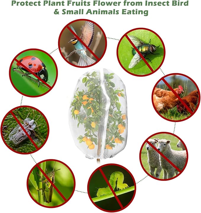 6Pcs Plant Covers from Insects, 3Size Bird Netting Barrier for Blueberry Bushes with Drawstring Zipper Mesh Garden Netting Plants Bags for Protect Fruits Tree Tomato Vegetable 2.6×3.3, 3.3×5, 4×5Ft