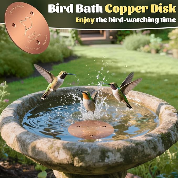 NNG 3 Pack Bird Bath Copper Disk,1mm Thick Reinforced 99.9% Pure Copper Bird Bath Purification Disk with Triple-Point Support,Physical Safe Water Cleaner for Outdoor Birdbaths Bowls,All-Season Use