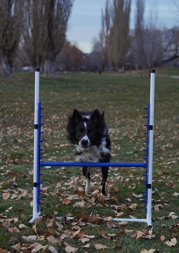 Better Sporting Dogs 4 Pack Adjustable Dog Agility Bar Jumps w/Cup Strips | Competition-Style Jump Cups for Height Class & Safe Displacement