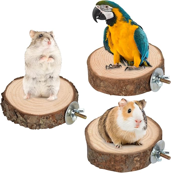 36 PCS Bird Perches Stand Toy, Natural Wood Parrot Perch Stand Bird Cage Branches Platform Accessories for Parakeets Cockatiels Conures Macaws Finches Love Birds