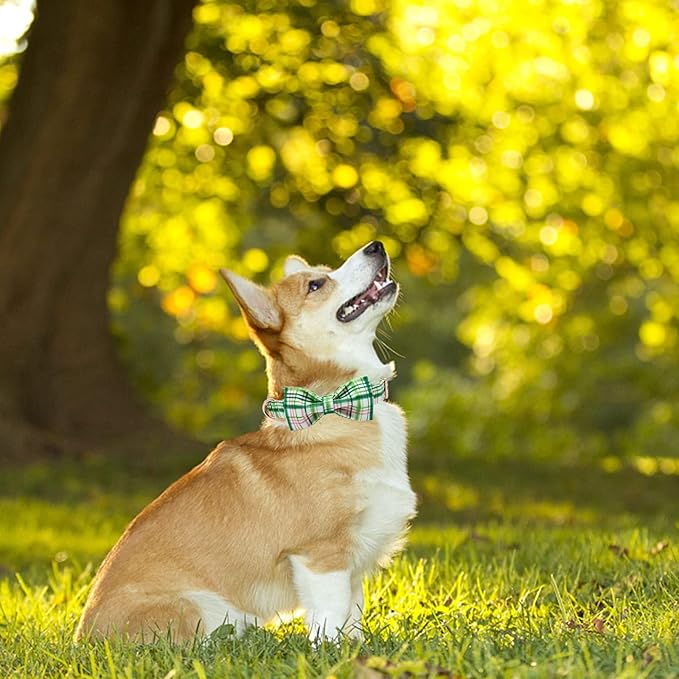 Elegant Little Tail Dog Collar with Pink & Green Plaid Bow - Cute Bowtie, Adjustable X-Small Puppy & Cat Collar