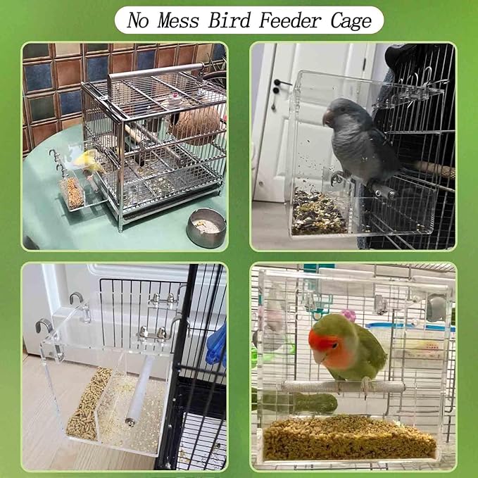 Automatic Acrylic Bird Feeder for Cage, No Mess - Small Bird Parrots, Canary, Parakeet, Budgerigar, Crested Myna, Cockatiel (XL)