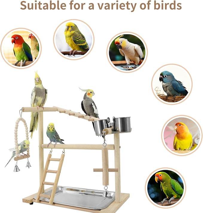 Bird Playground, Playstand for Parrot Cage Accessories (1 Ladder with Swing)