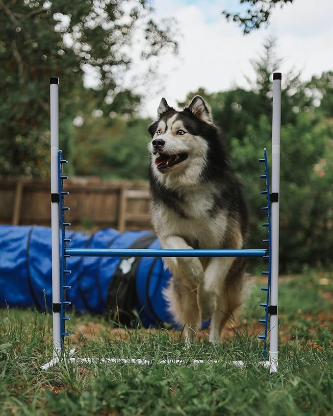 Better Sporting Dogs 4 Pack Adjustable Dog Agility Jumps w/Safety-Focused Features | 2 Bar Jumps with Cup Strips | 2 Breakaway Tire Jumps