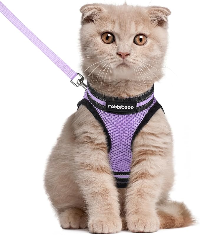 rabbitgoo Cat Harness and Leash Set for Walking Escape Proof, Adjustable Soft Kittens Vest with Reflective Strip for Cats, Comfortable Outdoor Vest, Light Purple, L