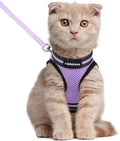 rabbitgoo Cat Harness and Leash Set for Walking Escape Proof, Adjustable Soft Kittens Vest with Reflective Strip for Cats, Comfortable Outdoor Vest, Light Purple, L