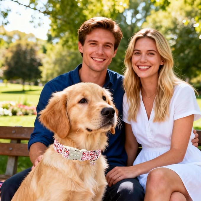DOGWONG Cute Dog Collar, Pink Bow Pattern Dog Collar, Girl Female Dog Collars with Strong Plastic Buckle for Large Dogs,XL