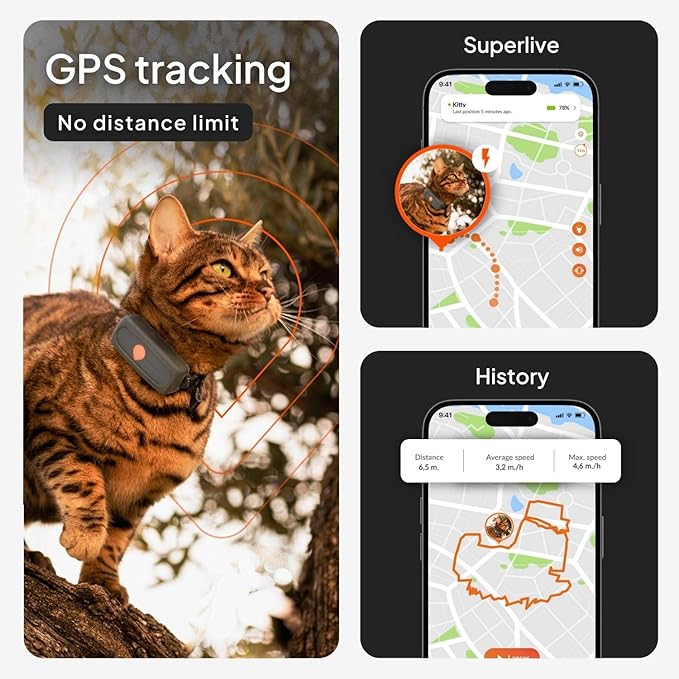 Weenect Cat XS - New GPS Tracker for Cats | Real-time Mini GPS Tracker for Cats | Smallest Model on The Market | Collar Included | Subscription Required (Black, Tracker XS)