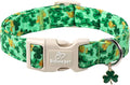 St. Patrick's Day Dog Collar for Small Dogs - Green Shamrock & Yellow Flower Print Dog Collars, Cute Irish Party Puppy Collar, Lightweight Adjustable St. Patricks Day Pet Collars S