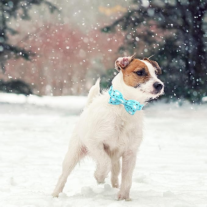 Dog Collar, Bow Dog Collar Blue Bear Pattern Pet Collar Dog Cute Bow Tie Soft Girl Boy Dog Collars with Metal Buckle for Small Dogs