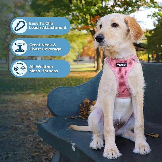 Best Pet Supplies Voyager Step-in Air All Weather Mesh Harness and Reflective Dog 5 ft Leash Combo with Neoprene Handle, for Small, Medium and Large Breed Puppies - Harness Leash Set (Pink), XS