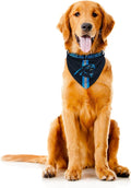 Littlearth NFL Denver Broncos Pet Bandana