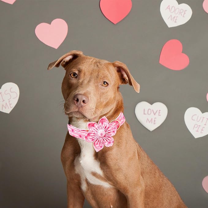 Lionheart glory Valentine's Day Dog Collar with Flower Dog Collars Pink Collars for Large Dogs, Spring Pet Puppy Collar Flowers
