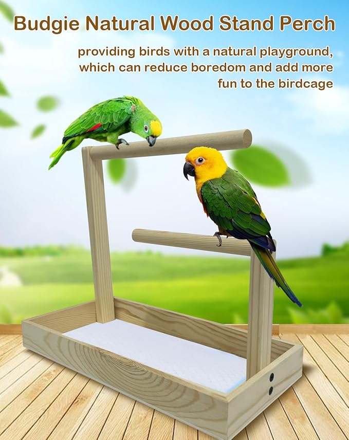 Small Bird Training Stand Portable Tabletop Birds Perch Desktop Platform Training Perch with 5 Pcs Disposable Pads Parakeet Play Gyms Exercise for Budgie Conure Parrot Cockatiel Lovebird
