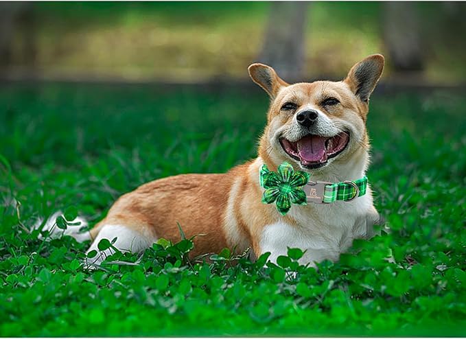 Lionheart glory St. Patrick's Day Dog Collar with Flower Dog Collar for Large Dogs, Green Plaid Cute Collars Spring Dogs Collars Flower Puppy Heavy Duty Cute