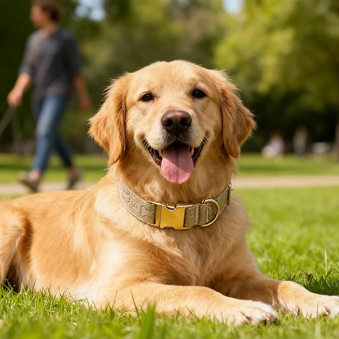 TDTOK Stylish Leather Dog Collar, Comfortable Soft PU Leather Dog Collars for Large Medium Small Dogs with Quick Release Metal Buckle, Adjustable Pet Collar with Cute Bone Pattern Design