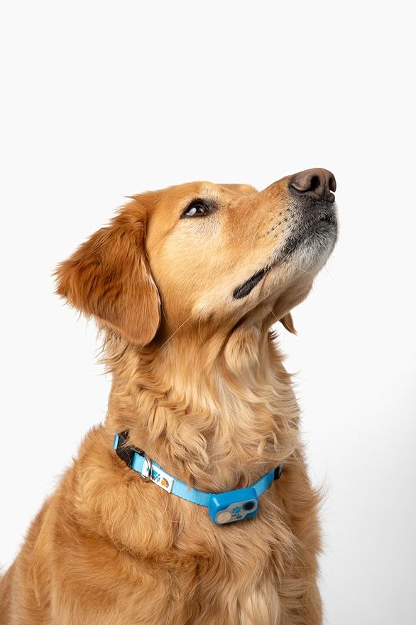 MS-5 Designer Series, Premium Performance Automatic Pet Door Collar by High Tech Pet Brand - Blue Case & Strap - Class A Battery Included - Stylish Design - Waterproof - Rugged - USA Support (Blue)
