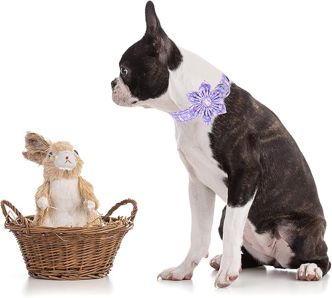 MR. CHUBBYFACE Easter Dog Collar, Purple Rabbit Pet Collar with Flower, Adjustable Puppy Collar Bowtie for Small Medium Large Dogs