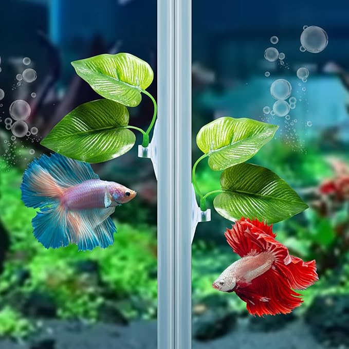 CousDUoBe 4 Pack Betta Fish Leaf Pad Improves Betta's Health by Simulating The Natural Habitat - Natural, Organic, Comfortable Rest Area for Fish Aquarium