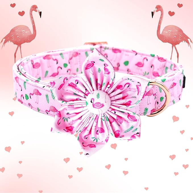 Lionheart Glory Valentine's Day Collar with Flower, Pink with Bowtie Spring Collar for X-Large Dogs
